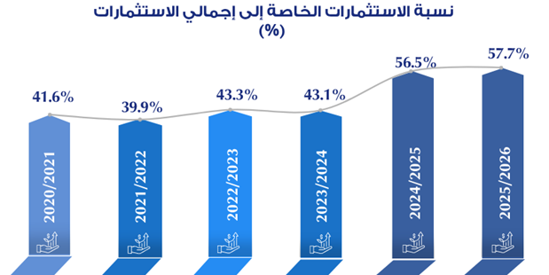 الاستثمارات الخاصة