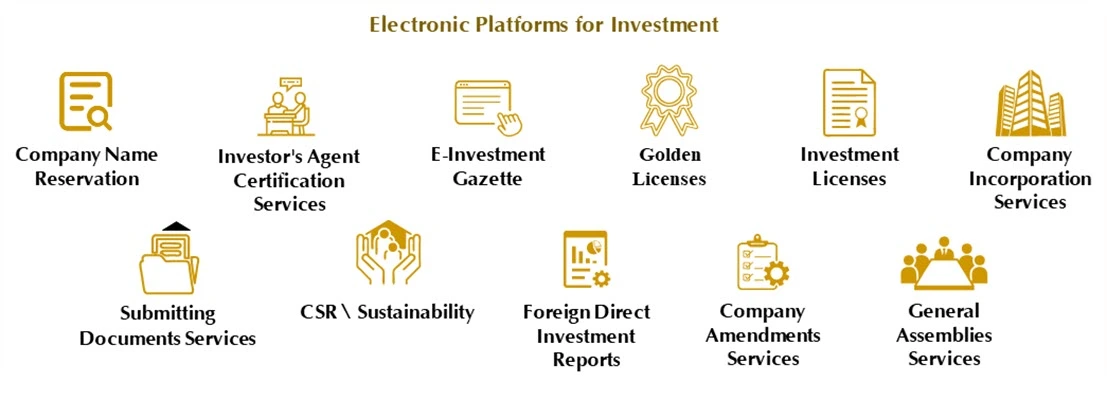 Digital Transformation & Service Delivery via Electronic Platforms